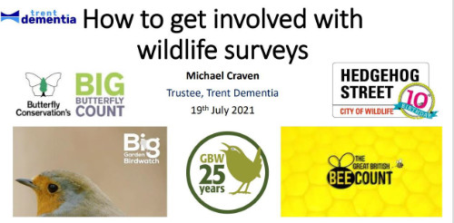 Get involved with wildlife surveys - presentation